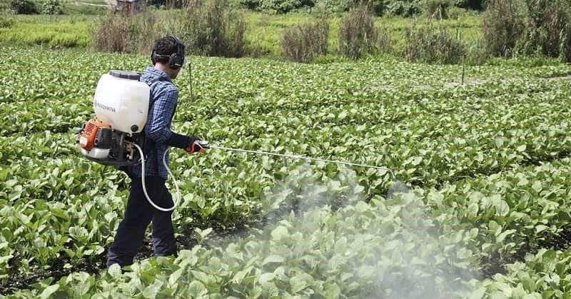 Guía sobre pulverizadores para plantas y jardín