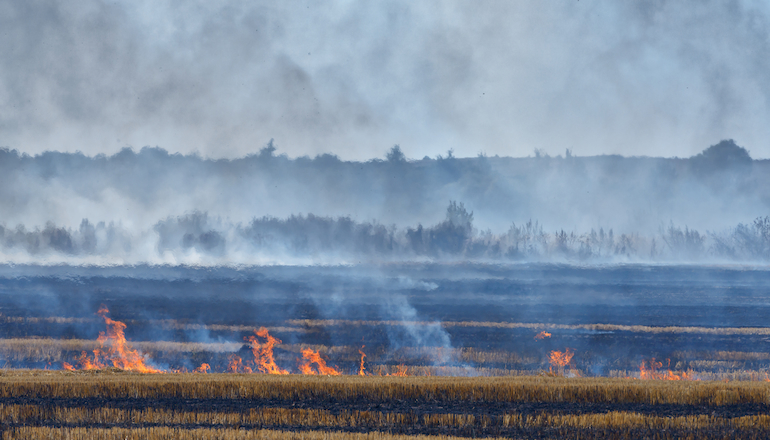 Imagen de Como evitar los incendios forestales en tu finca o jardín