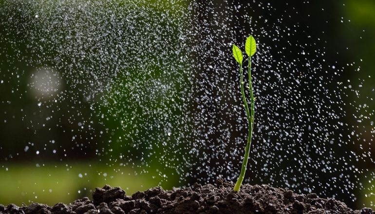 ¿Por qué es importante mecanizar algunas tareas en la producción agraria?