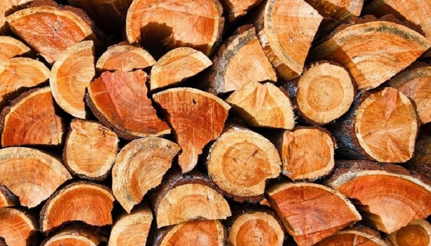 Astilladoras, la mejor herramienta para triturar la madera - Gaima S.A