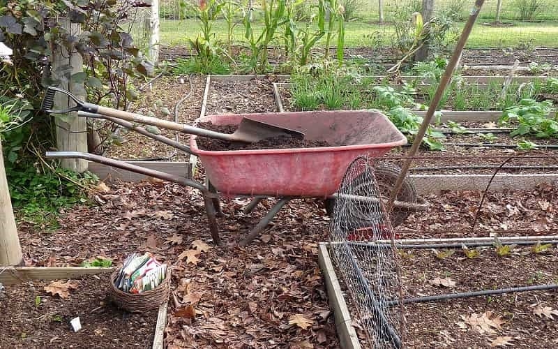 Cómo empezar un jardín desde cero