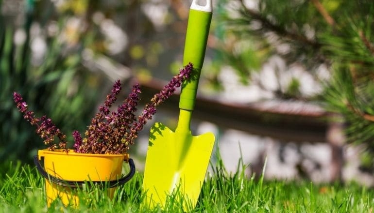 beneficios jardin