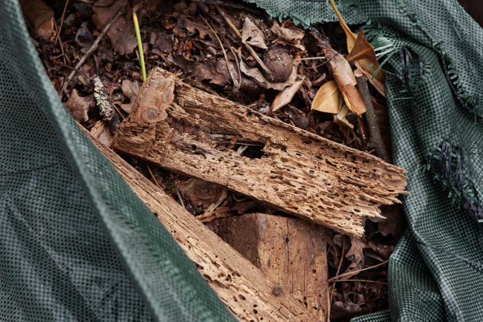 Biotrituradora. La herramienta indispensable en tu jardín