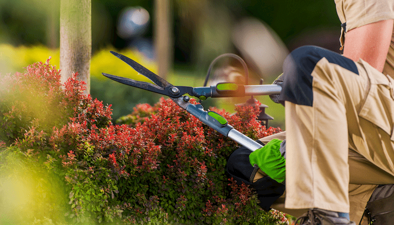 Consejos para preparar tu jardín para el otoño