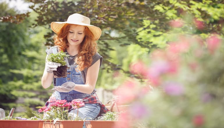 8 Pasos para una siembra de calidad 