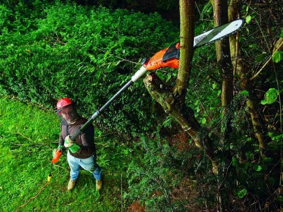 Cómo elegir la pértiga telescópica adecuada