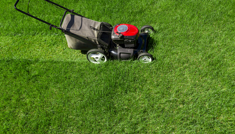 Cortacésped Eléctrico Makita. El Césped Verde Se Corta Con Una Cortadora De  Césped. El Concepto De Un Hermoso Césped Y Jardín Bien Cuidados. Abakán,  Rusia-12 De Junio De 2020 Fotos, retratos, imágenes