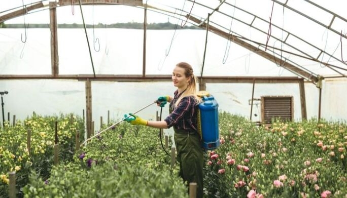 Los pulverizadores para el jardín los tienes en Gaima