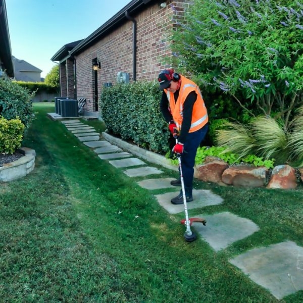 Desbrozadoras: El Arte de Domar la Naturaleza para un Jardín Impecable 