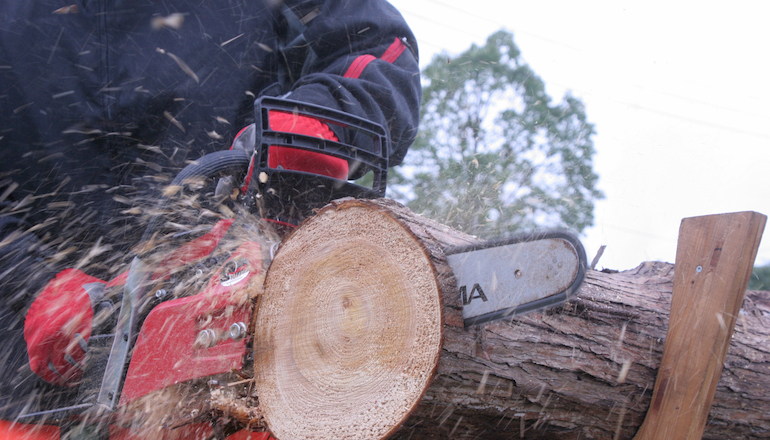 Cómo elegir una sierra para madera