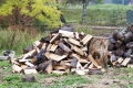 Astilladoras: La Herramienta Clave para un Otoño de Fogatas y Chimeneas