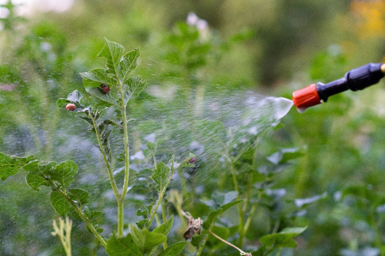 Imagen de Pulverizadores y atomizadores para el jardín y la huerta