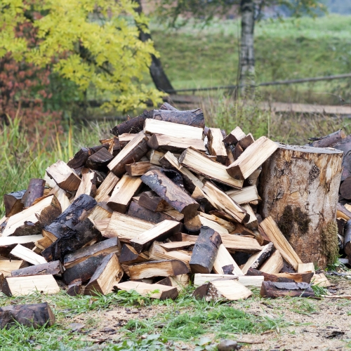 Astilladoras: La Herramienta Clave para un Otoño de Fogatas y Chimeneas