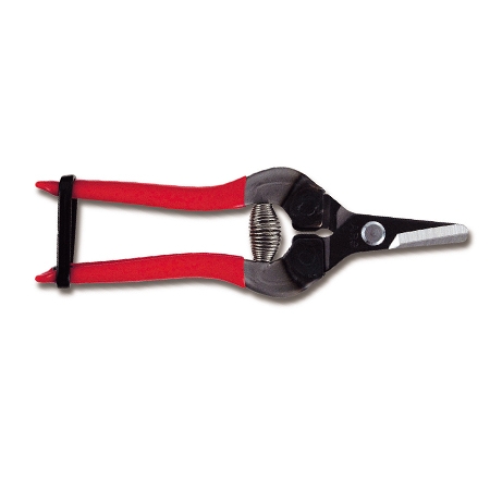TIJERA DE PODA PARA FRUTA Y UVA ARS 310BL