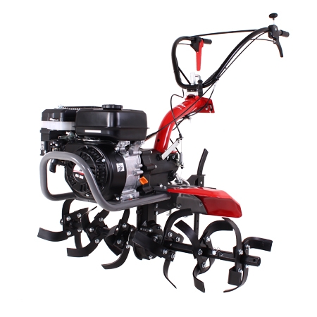 MOTOAZADA PUBERT MAESTRO 55P
